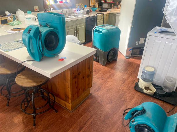 Best Carpet water damage restoration  in Kingsville, TX